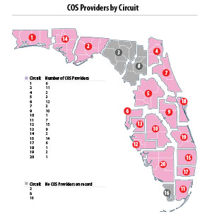 Circle of Security (COS) Providers by Circuit; Number of COS Providers — Circuit 1: 6; Circuit 2: 11; Circuit 4: 2; Circuit 5: 3; Circuit 6: 12; Circuit 7: 3; Circuit 9: 10; Circuit 10: 1; Circuit 11: 7; Circuit 12: 15; Circuit 13: 9; Circuit 14: 2; Circuit 15: 14; Circuit 17: 6; Circuit 18: 1; Circuit 19: 2; Circuit 20: 1; Circuit 3: No Providers on Record; Circuit 8: No Providers on Record; Circuit 16: No Providers on Record